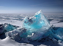 张雪之下，暗流涌动